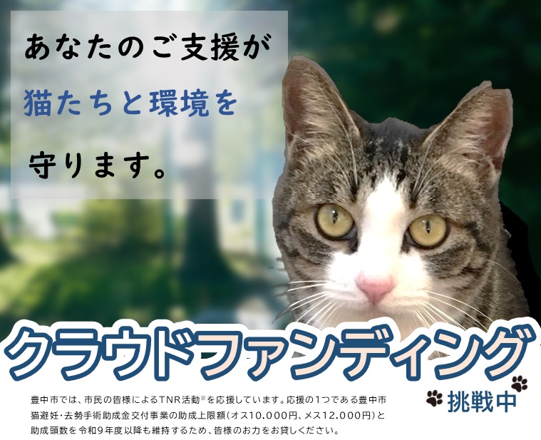 TNR活動を応援！厳しい環境で生きるのら猫を増やさないために。【2026年】